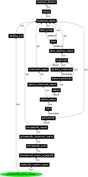 Graph image for SO:0100020