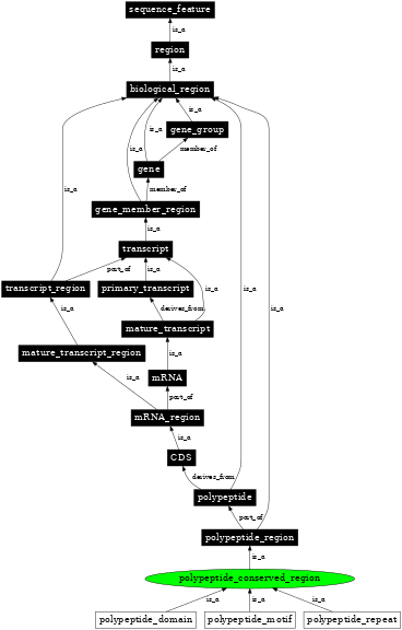 Graph image for SO:0100021