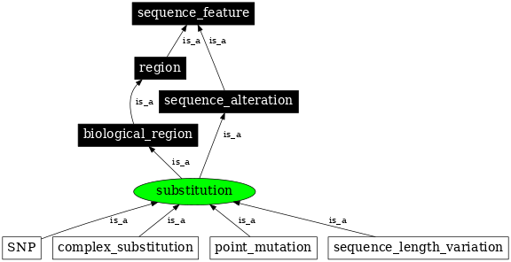 Graph image for SO:1000002