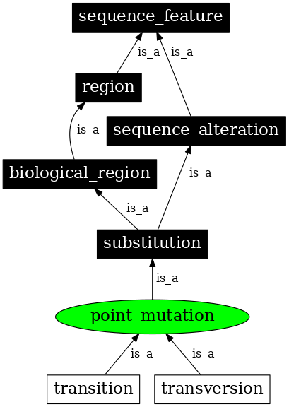 Graph image for SO:1000008