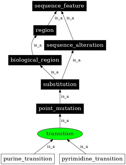 Graph image for SO:1000009