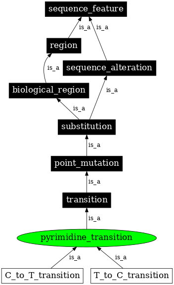 Graph image for SO:1000010