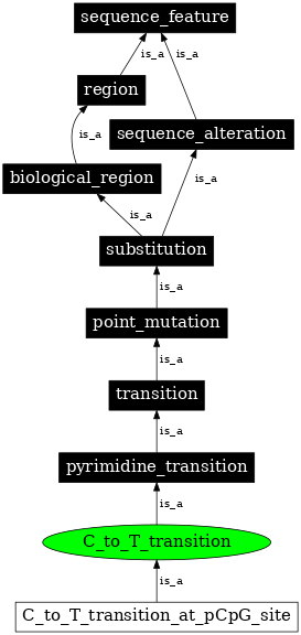 Graph image for SO:1000011