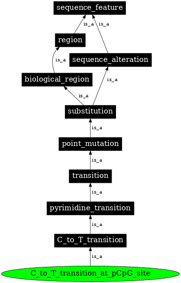 Graph image for SO:1000012