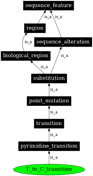 Graph image for SO:1000013