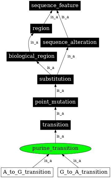 Graph image for SO:1000014