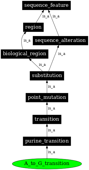 Graph image for SO:1000015