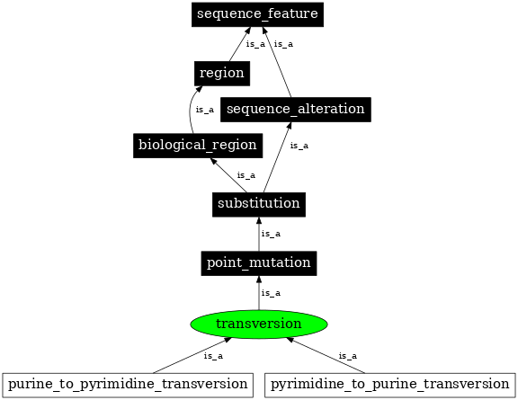 Graph image for SO:1000017