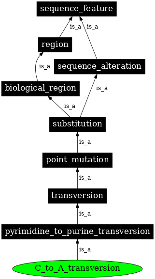 Graph image for SO:1000019