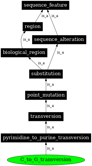 Graph image for SO:1000020