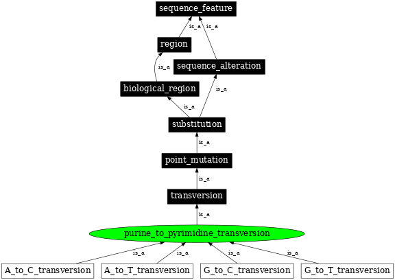 Graph image for SO:1000023