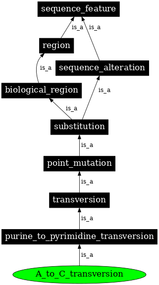 Graph image for SO:1000024