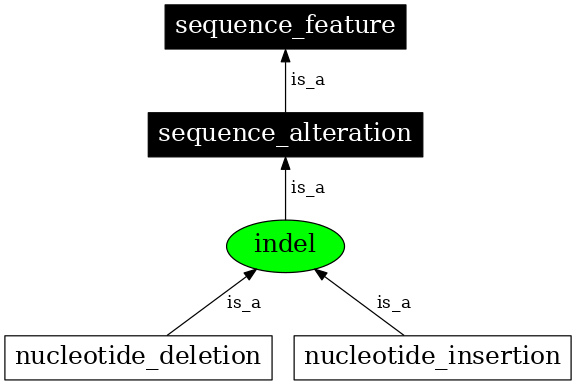 Graph image for SO:1000032