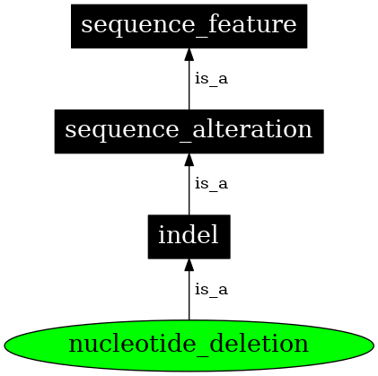 Graph image for SO:1000033