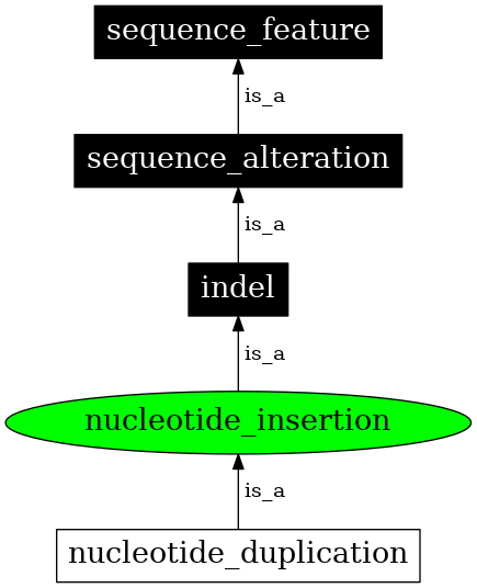 Graph image for SO:1000034