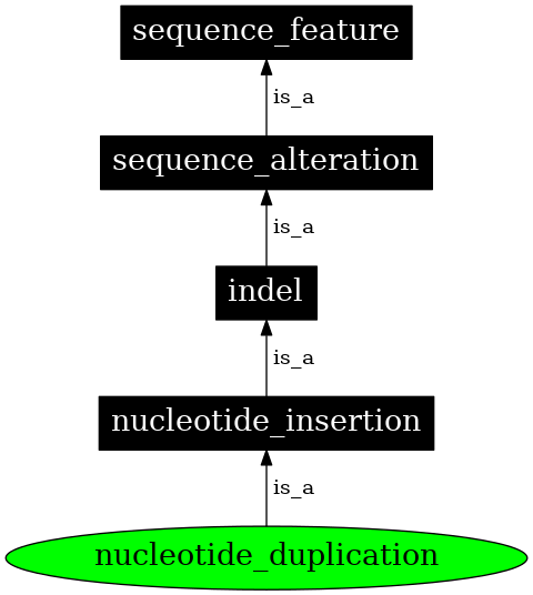 Graph image for SO:1000035