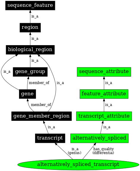 Graph image for SO:1001187