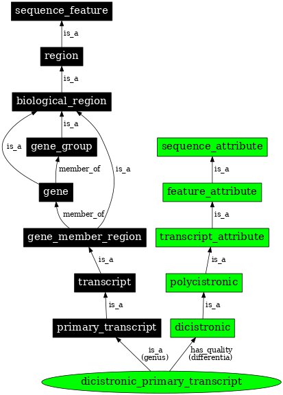 Graph image for SO:1001197