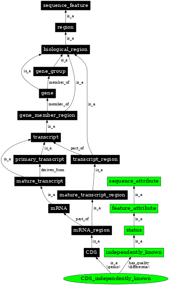 Graph image for SO:1001246