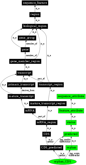 Graph image for SO:1001247