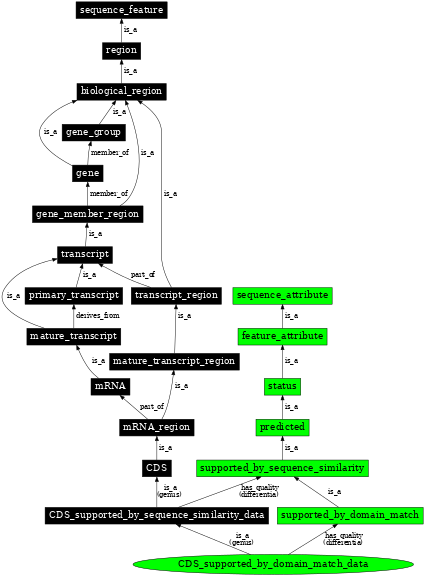 Graph image for SO:1001249