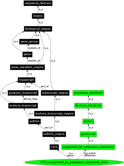 Graph image for SO:1001251