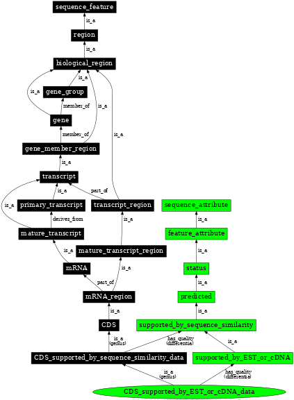 Graph image for SO:1001259