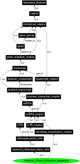 Graph image for SO:1001260