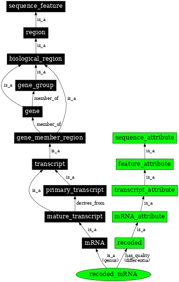 Graph image for SO:1001261