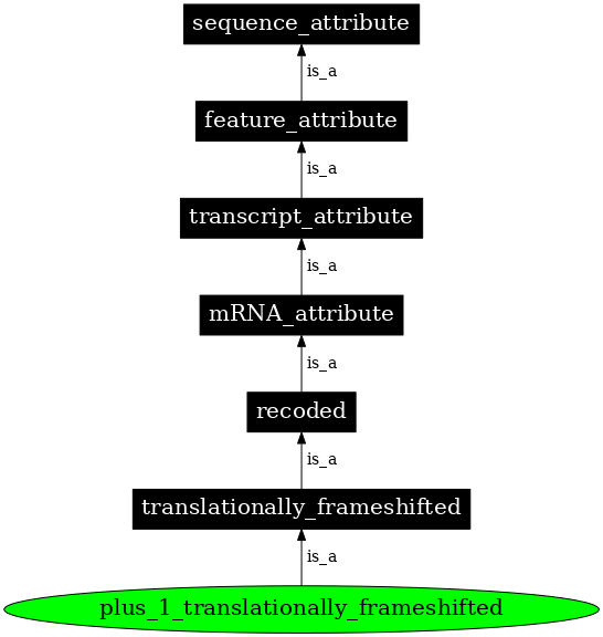 Graph image for SO:1001263