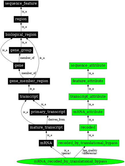 Graph image for SO:1001264