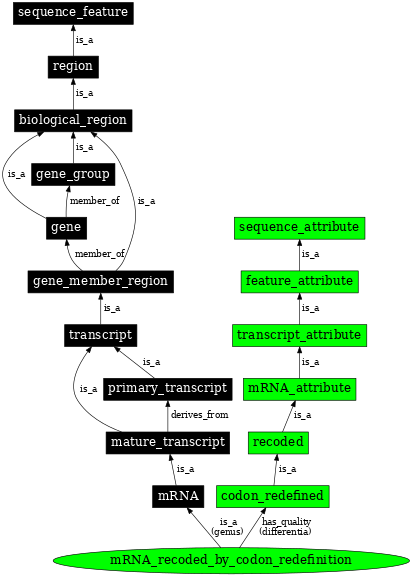 Graph image for SO:1001265