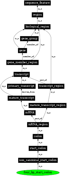 Graph image for SO:1001269