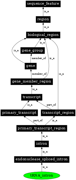 Graph image for SO:1001272