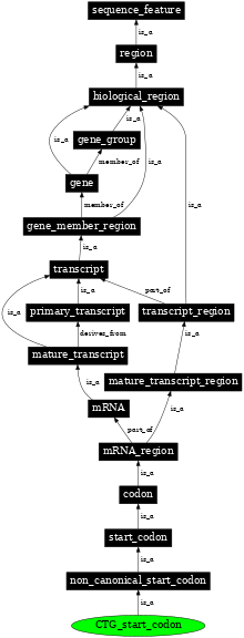 Graph image for SO:1001273