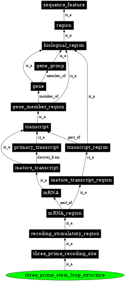 Graph image for SO:1001279