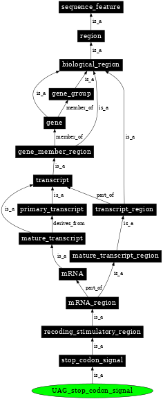 Graph image for SO:1001282