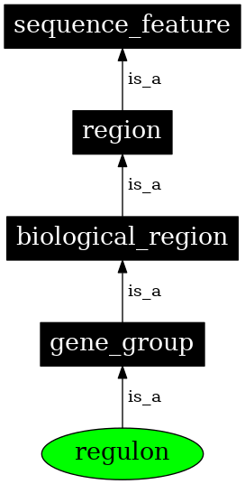 Graph image for SO:1001284