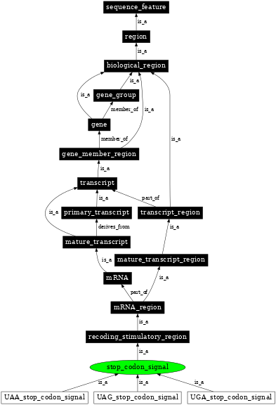 Graph image for SO:1001288