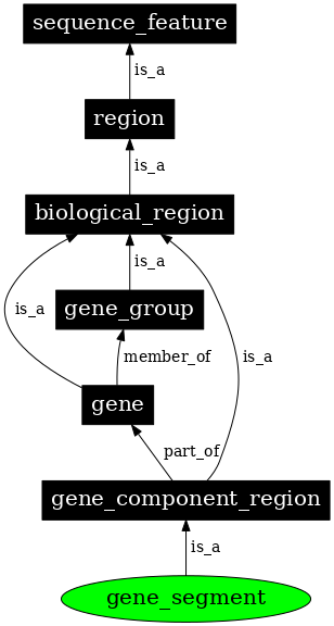 Graph image for SO:3000000