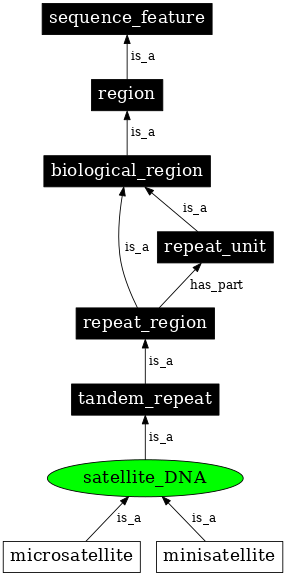 Graph image for SO:0000005