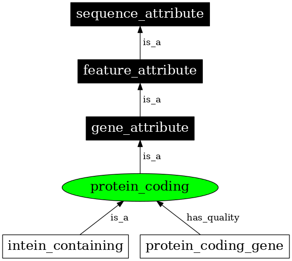 Graph image for SO:0000010