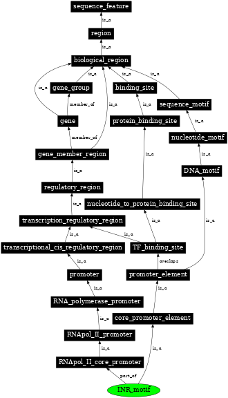 Graph image for SO:0000014