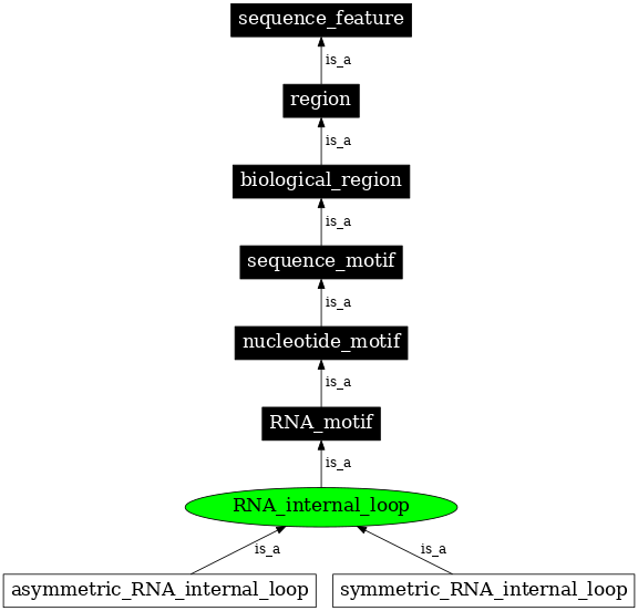 Graph image for SO:0000020