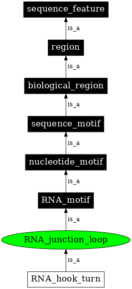 Graph image for SO:0000026