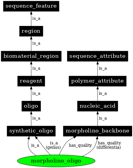 Graph image for SO:0000034