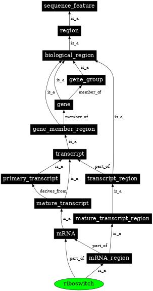 Graph image for SO:0000035