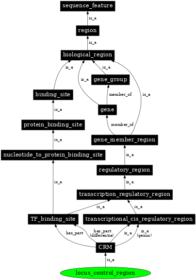 Graph image for SO:0000037