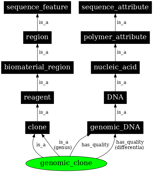 Graph image for SO:0000040