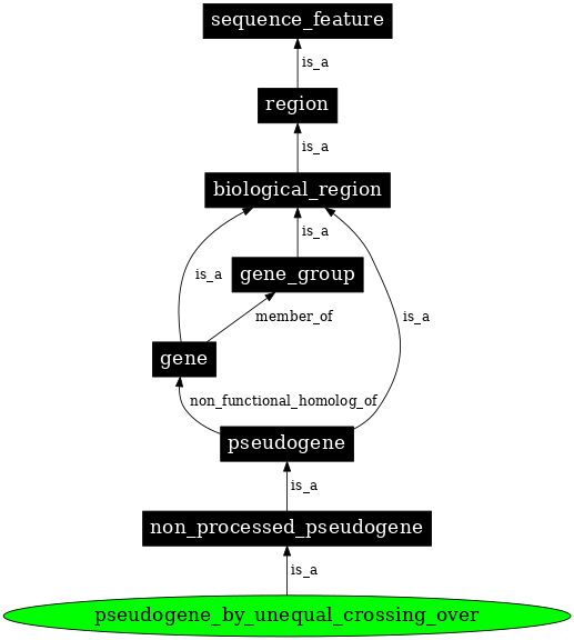 Graph image for SO:0000044